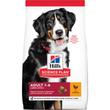 Hill’s Adult Large Breed con Pollo 12 kg