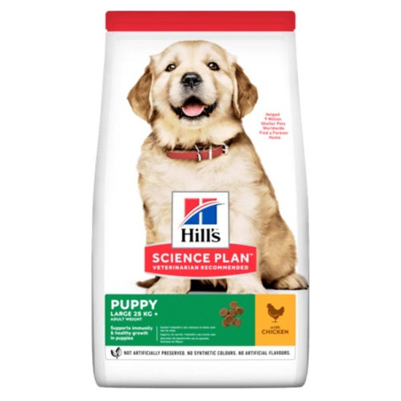 Hill's Large Puppy con Pollo 12 kg