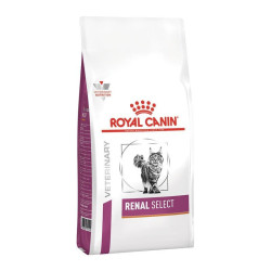 Royal Canin Gatto Veterinary Diet Renal Select 400g