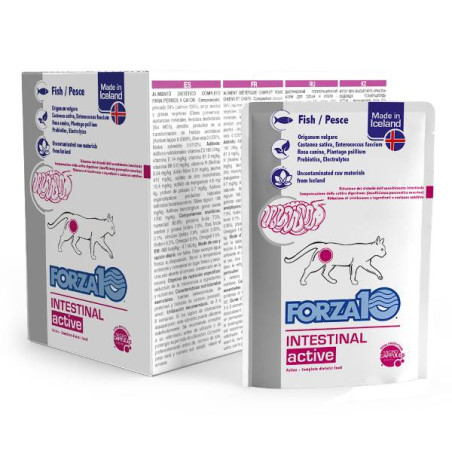 Forza 10 - Actiwet per Gatti Intestinal con Pesce 12x100g